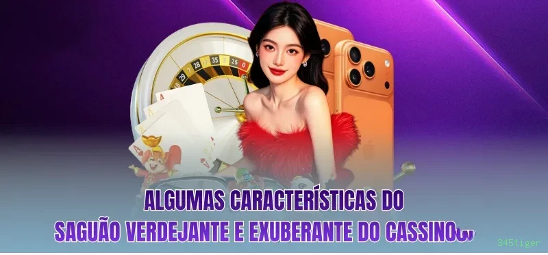 Conta 345tiger sincronizada site e app